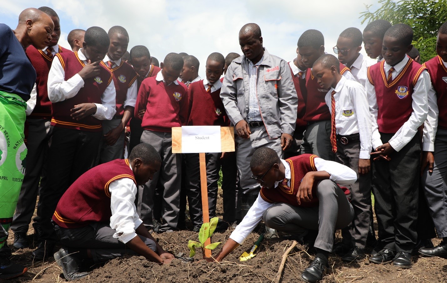 Ministry takes banana production to schools Image